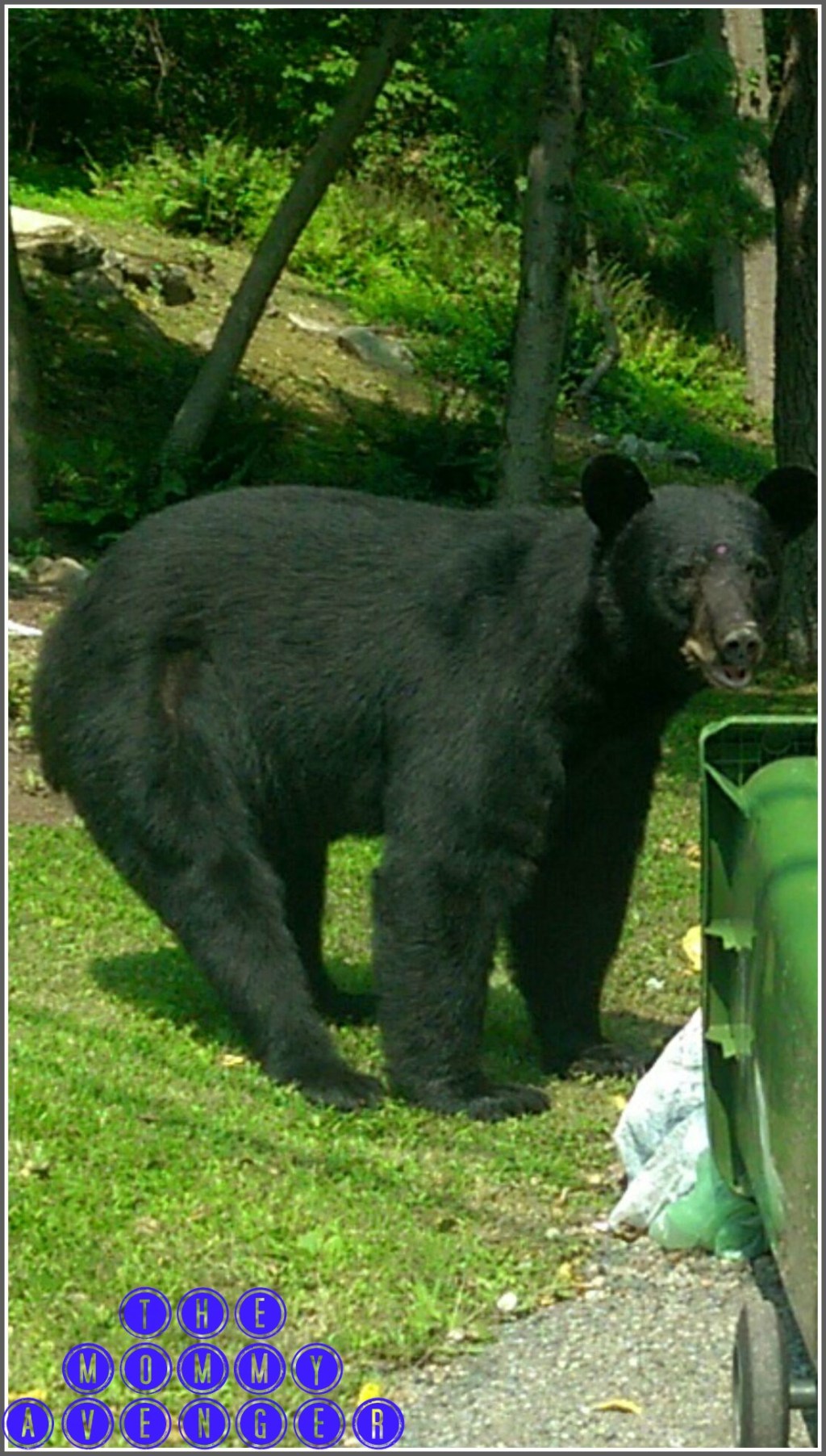 A Surprisingly Common&nbsp;Sight