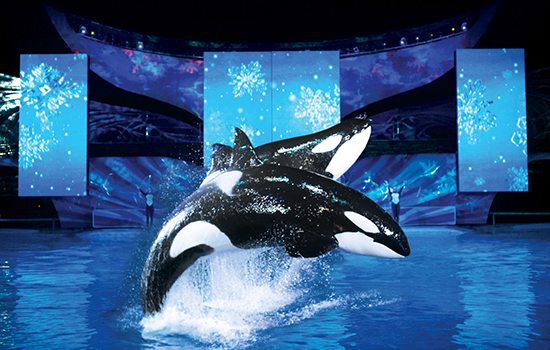 Deck the Halls this Holiday Season at SeaWorld Parks &&nbsp;Entertainment