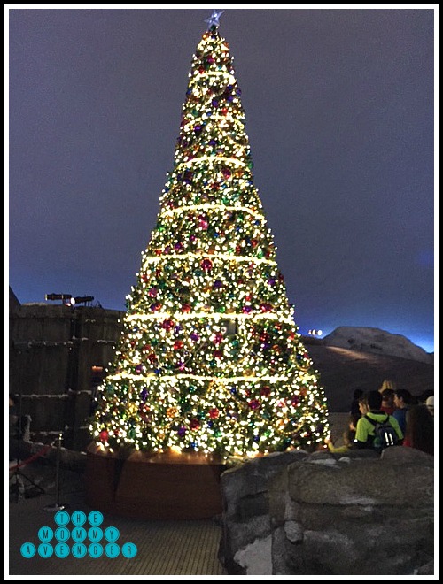 SeaWorld Polar Express Christmas Tree