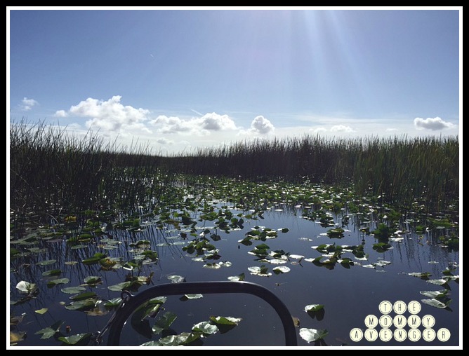 Boggy Creek Airboat&nbsp;Rides
