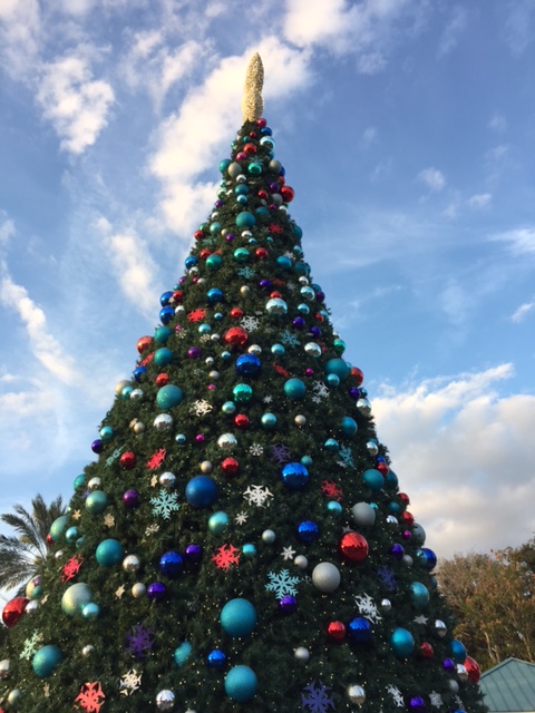 A SeaWorld Adventure