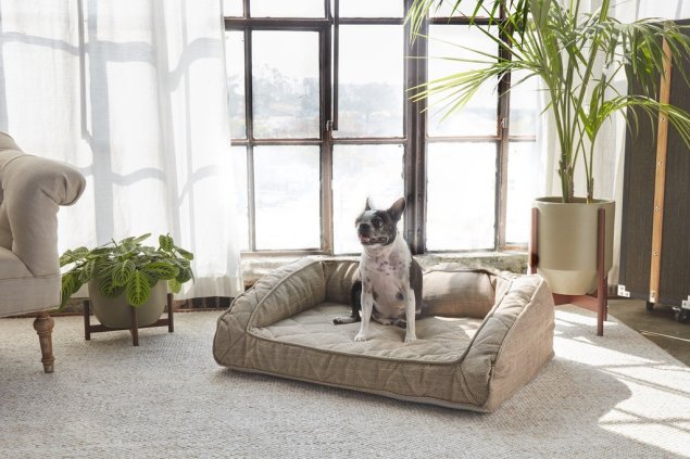 Runyon_Lifestyle_002_ddba4325-4452-4f31-a411-bf367224077a_1024x1024