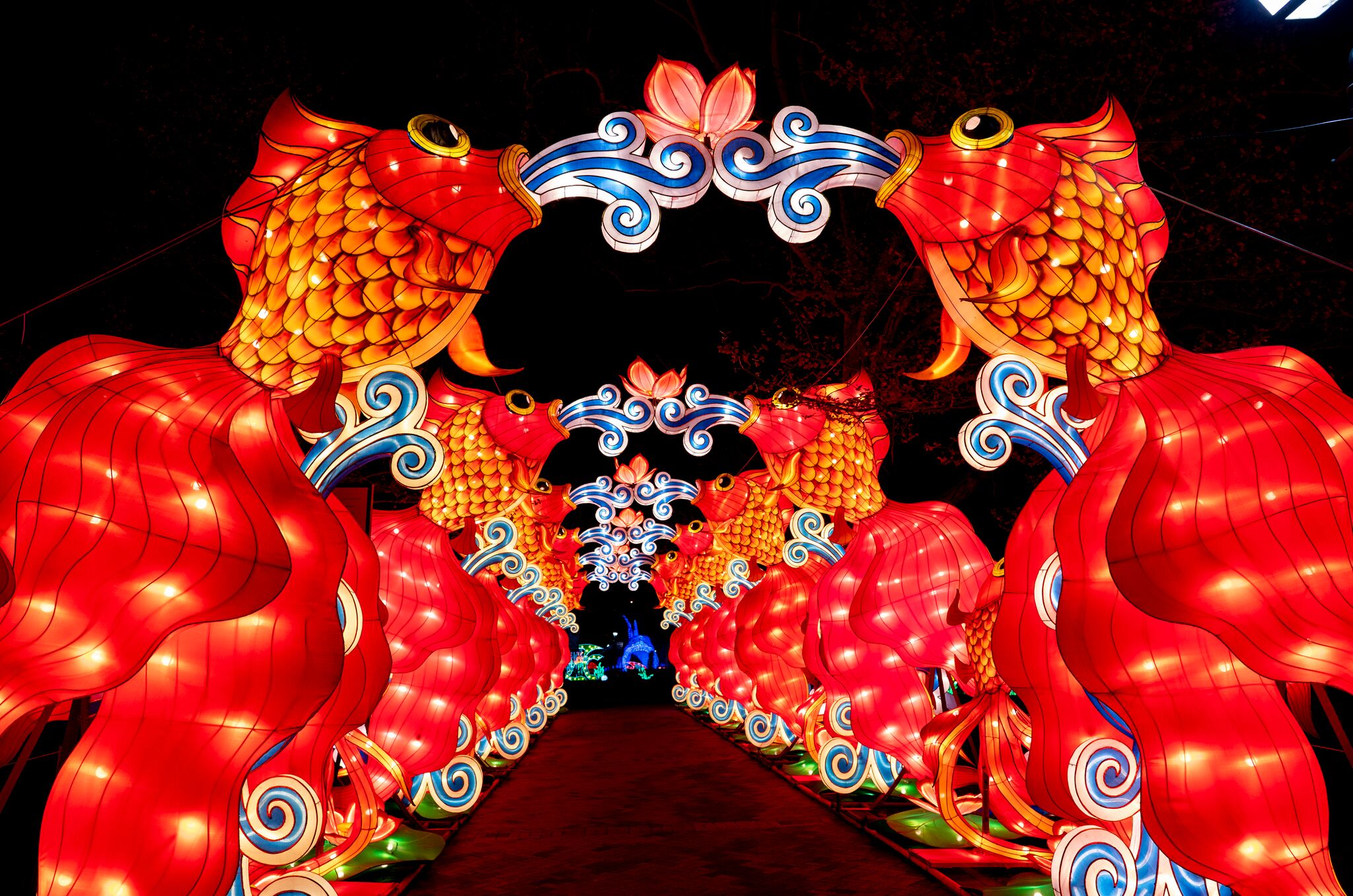 PCLF18_JFusco-Tianyu (9)_preview.jpg