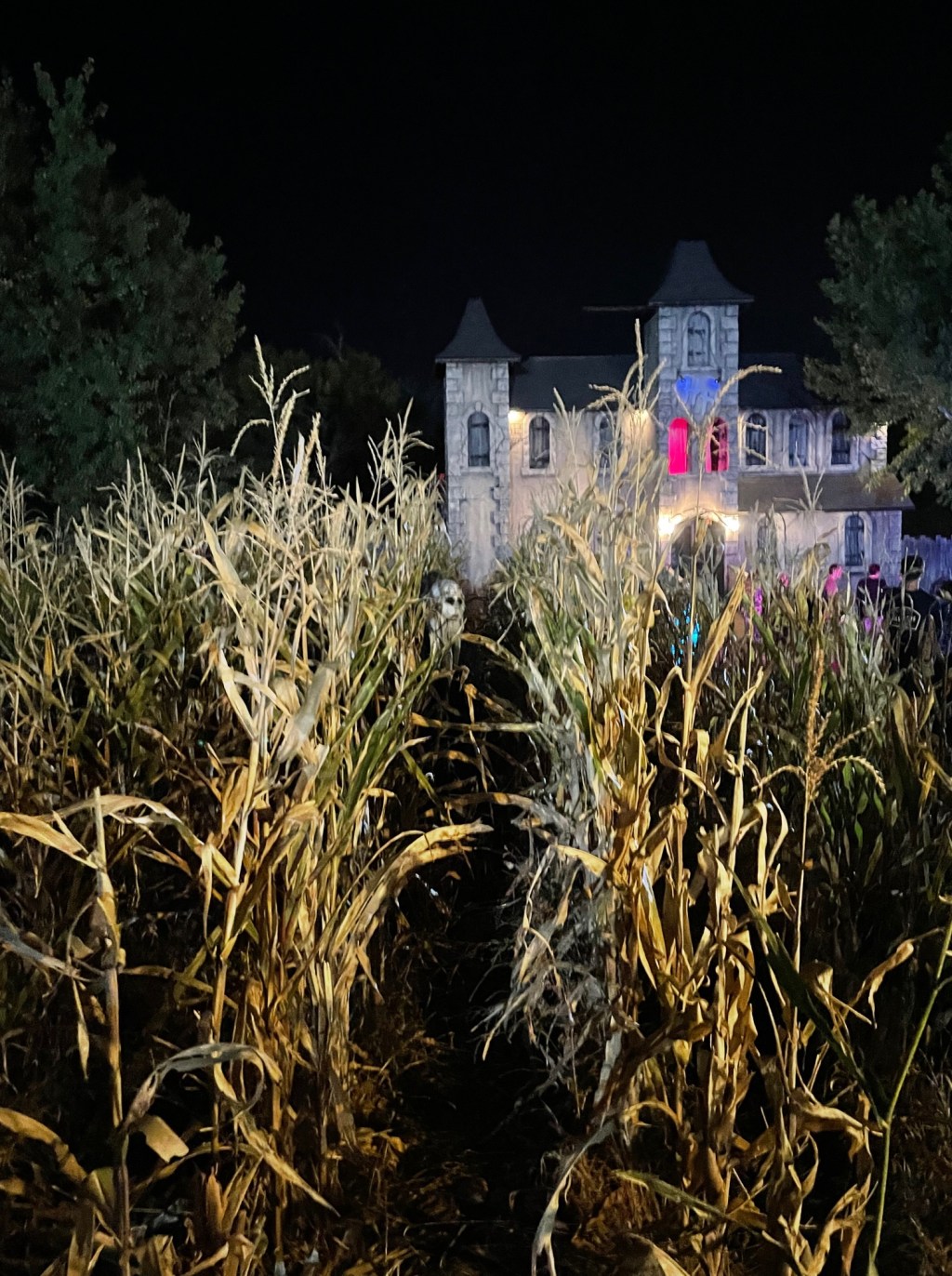 Halloween Haunts: Haunted&nbsp;Hollow