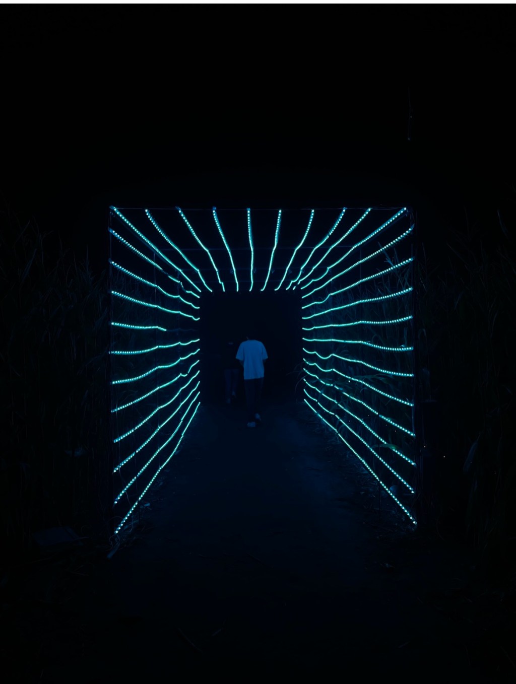 Halloween Haunts: Halloween Extravaganza–Night Stalkers/Crazy Corn Maze/ Fright&nbsp;Lights