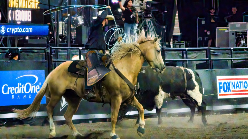 PBR Space Cowboys at Falcon Stadium — Colorado Springs Just Hosted America’s Best Birthday Party