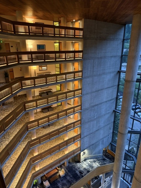 Interior view of a modern hotel or building showcasing multiple levels, wooden railings, and large windows, with natural light illuminating the spaces.