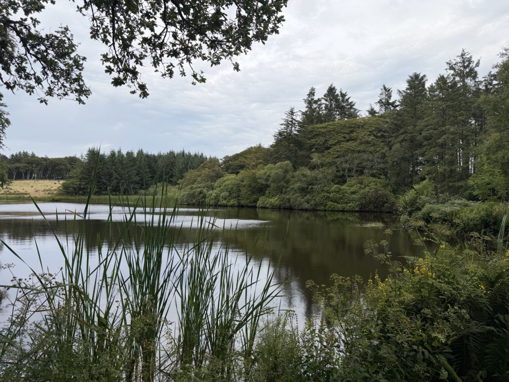 A tranquil lake surrounded by lush greenery and trees under a cloudy sky.