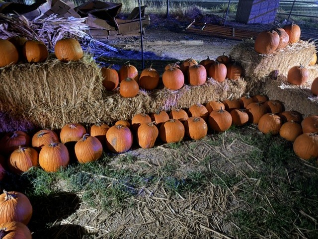 Make It a Night to Remember at Nightfall Halloween Park